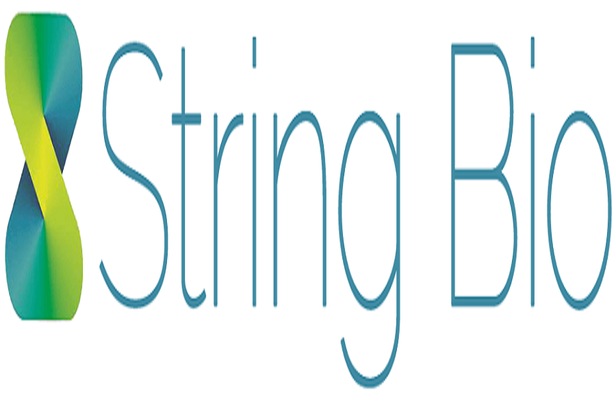 Logo 7